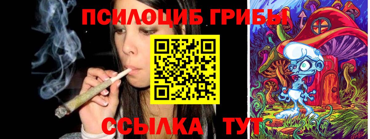Псилоцибиновые грибы Magic Shrooms Губкинский